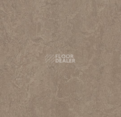 Линолеум Forbo Marmoleum Decibel on Order 324635 shrike фото 1 | FLOORDEALER